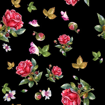 Watercolor painting illustration of Red rose , seamless pattern on black , background
