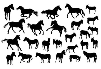 Horse, Donkey and Zebra Silhouettes, art vector design