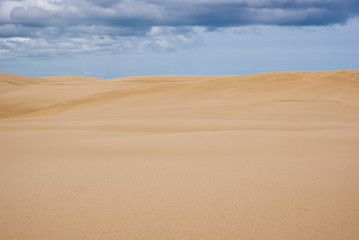Fototapeta na wymiar Huge sand dunes at North island, New Zealand