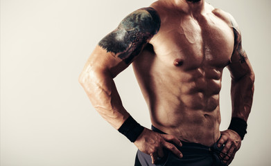 Perfect abdominal muscles