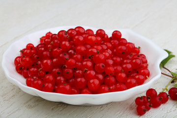 Red currants