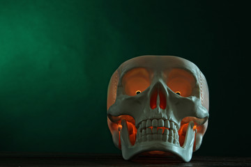 The human skull on a dark background.