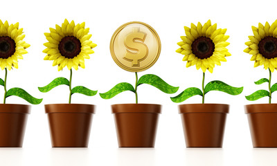 Obraz premium Gold coin with dollar sign on the flower pot. 3D illustration
