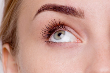 Obraz premium Macro image of woman's eye.