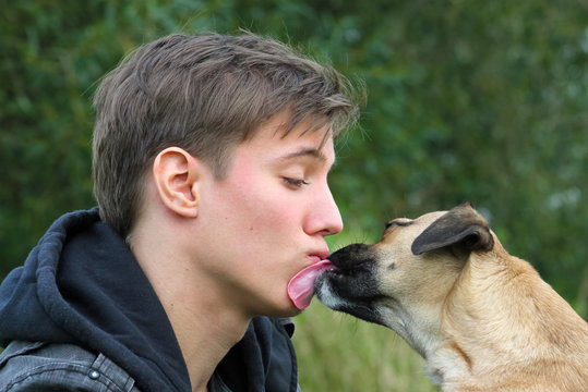 Hund leckt Teenager das Gesicht ab