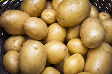 viele Kartoffeln im Weidenkorb