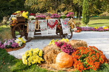 Autumn harvested vegetables on traditional ukrainian rural rustic wagon.