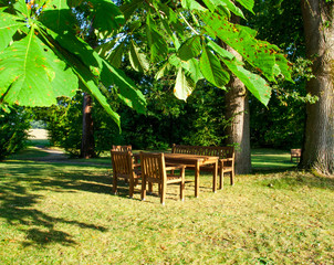 Obraz premium Ruheplatz im Park - Sitzgelegenheit unter Bäumen