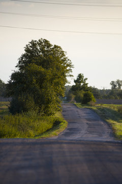 Wiejska droga wylana asfaltem wśród pól, łąk i drzew.
