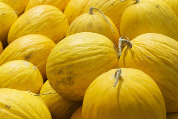 Yellow melons background