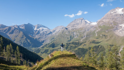 Fototapeta premium Mann blickt in Richtung Großglockner, Sommer