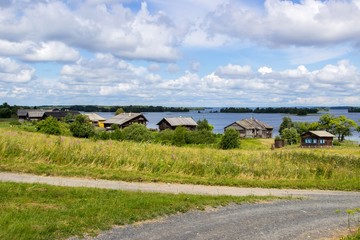 Summer rural landscape