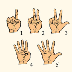 Fototapeta premium Set of hand gestures count 1 2 3 4 and 5