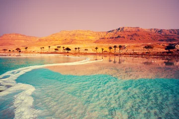 Selbstklebende Fototapete Küste Küste des Toten Meeres mit Palmen und Bergen im Hintergrund