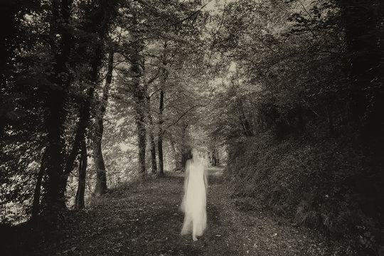 White dame in the forest