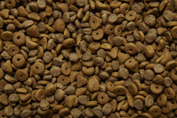 A full page of animal food background texture
