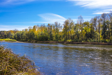 Fototapeta na wymiar Siberian river Berd in autumn