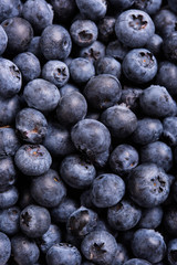 Fresh ripe blueberries macro shot, fruit background