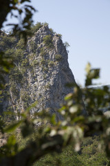 Wild rock