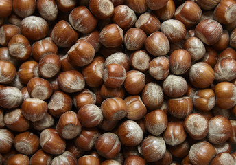 A full page of hazelnut background texture