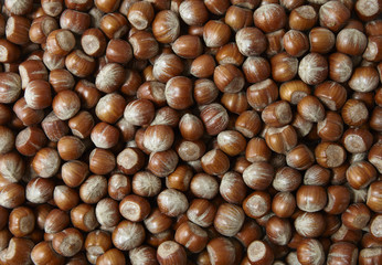 A full page of hazelnuts background texture