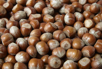 A full page of hazelnut background texture