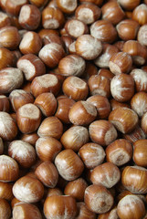 A full page of hazelnuts background texture