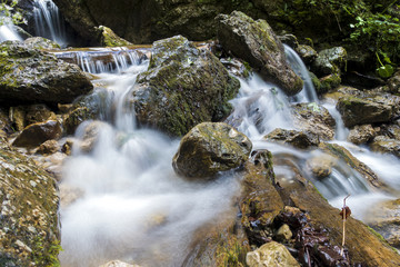 Mountain river flowing through the green forest. Stream in the wood