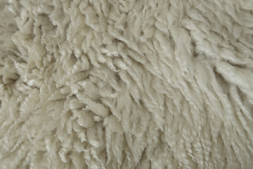 A full page of white sheepskin fleece background texture