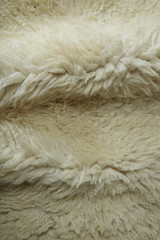 A full page of fluffy cream sheepskin background texture
