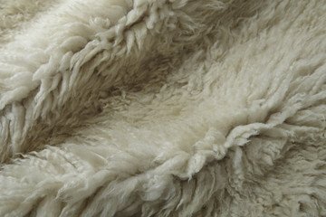 A full page of fluffy white sheepskin background texture