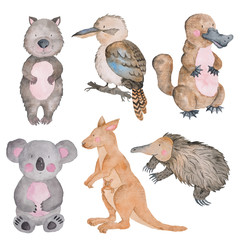 Australian animals  watercolor Hand-painted illustration Isolated Australia Clipart Exotic Cartoon Cute Animal
