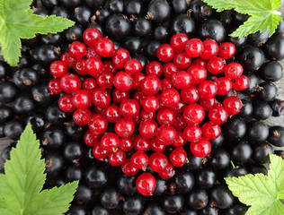 Ягоды красной смородины в форме сердца на фоне черной смородины и зеленые листочки