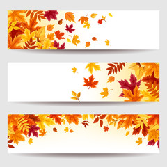 Set of three vector banners with red, orange, brown, purple and yellow autumn leaves.
