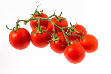 新鮮枝付きミニトマト　Mini-tomato with the branch