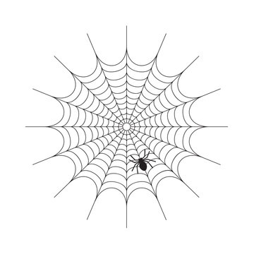 Abstract Spiderweb on white background vector