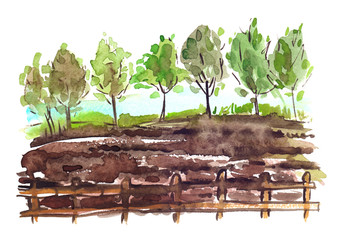 Landscape with wooden hedge, fresh brown field and a row of green trees in the back painted in watercolor on clean white background