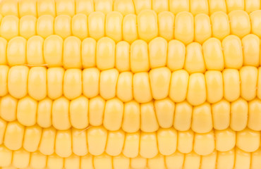Background of corn cobs