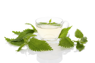 Stinging nettle tea.