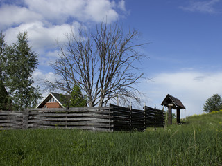 The house with a dry tree © olga_kruglova