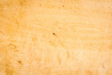 plain wood board panel for background, design, texture use