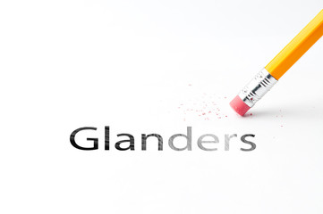 Closeup of pencil eraser and black glanders text. Glanders. Pencil with eraser.