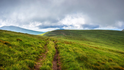 Mountain trail in Carpathians, nature landscape, Ukraine.