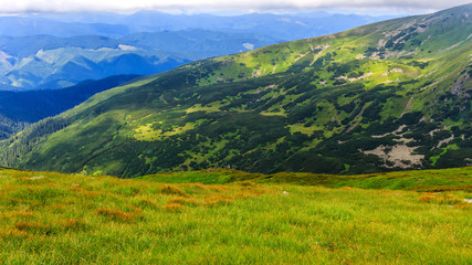 Picturesque Carpathian mountains, nature landscape in summer, Ukraine.