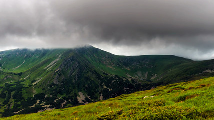 Obraz na płótnie Canvas Picturesque Carpathian mountains, nature landscape in summer, Ukraine.