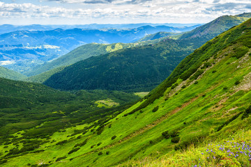Obraz premium Picturesque Carpathian mountains landscape in summer, view from the height, Ukraine.