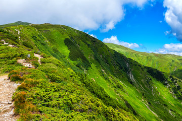 Picturesque Carpathian mountain ridge landscape in summer, Ukraine.