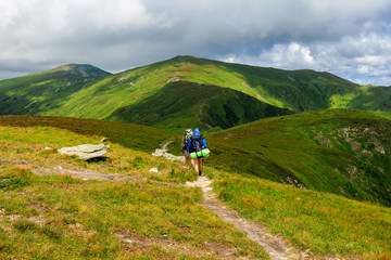 Obraz premium Group of tourists hiking in Carpathian mountains, nature landscape, Chornogora ridge, Ukraine.