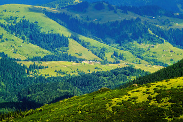 Obraz premium Picturesque Carpathian mountains landscape in summer, view from the height, Ukraine.