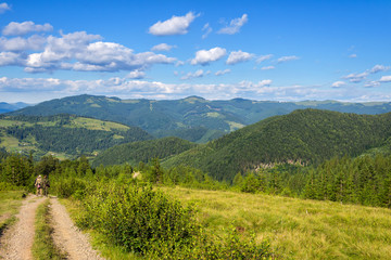 Picturesque Carpathian mountains, nature landscape in summer, Ukraine.